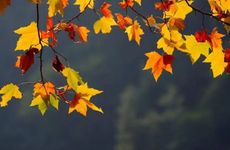 立秋时节的习俗及气候特点