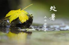 2022处暑当天吃什么 2022处暑当天应该吃什么好