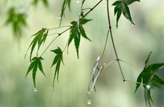 立秋适合领证吗？2022年立秋能登记结婚吗