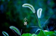 2022年小暑是几点几分？小暑注意事项！