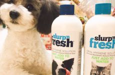 属狗水瓶座女生的性格特点