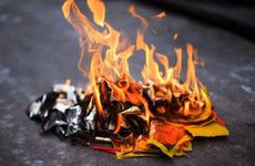 猴和牛婚配为中等婚 猴和牛性格互补且互相欣赏