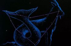 太阳星座和月亮星座：太阳摩羯座