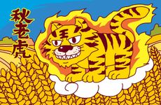 属虎最适合养的犬种