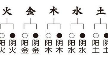 2009年5月27日出生的人八字命盘 五行缺什么？