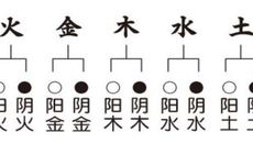 【六十甲子年】庚申年五行属什么