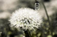 兄弟网络游戏名字大全搞笑