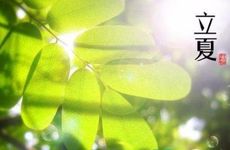 做梦梦见羊肉代表什么寓意？