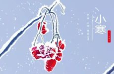 梦见自己拉屎弄自己衣服上是啥意思