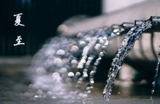 今日生肖相冲查询 2024年4月22日农历三月十四