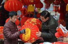 过年炒什么青菜 春节餐桌上备受青睐的青菜小炒