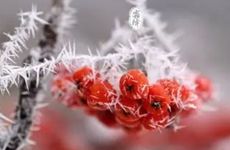 今日生肖相冲查询 2024年4月26日农历三月十八