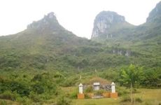 什么样的祖坟出精神病人