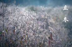 2022年立冬生宝宝是什么命？前途光明兴旺家门