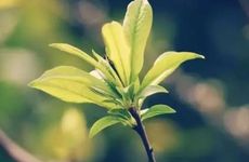 2022年躲春时间几点到几点，躲春可以睡觉吗？