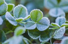 怎么用手机拍出又大又圆的月亮