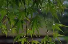 2022年十月初一寒衣节适合上梁吗？这天是什么卦象？