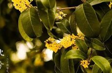 2023年暖心秋分祝福语合集38句