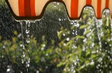 今年端午节是几月几日2024年农历