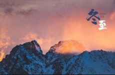 梦见荆棘怎么回事 梦见荆棘有什么预兆