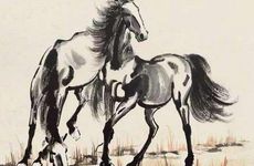 属马和哪个属相相冲 属马和什么生肖相冲