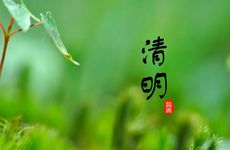 梦见虫蛀萝卜　周公解梦之梦到虫蛀萝卜