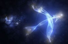 猫起名字叫什么名字