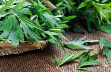 12星座谁数学最差