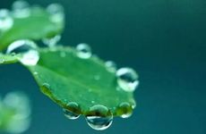 梦见父母死亡是什么意思