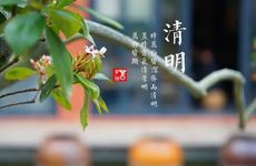 梦见吃豆腐意味着什么？