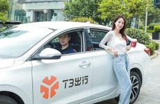 家里摆放什么招财又旺宅  充满生机