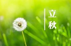 出生在立秋这天的人命好吗 命中带富贵之气