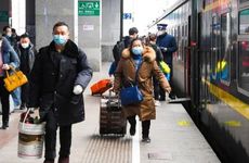 今天十二时辰冲属相 2024年8月13日生肖相冲查询