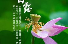 白露财神在哪个方向？2022年白露吉时财神方位？