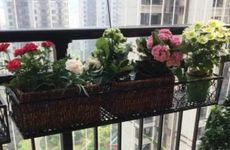 这两年财运不好怎么办 去小人化煞开财运