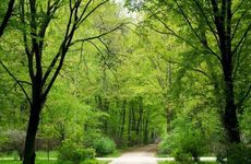 2024年下半年有一波财运高潮的星座