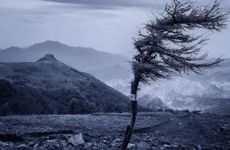 惊蛰节气的传统习俗及注意事项