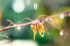 梦见糕点怎么回事 梦见糕点有什么预兆