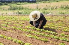 春分节气养生知识 保证睡眠注意穿衣