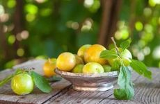 梦见人死了又活了是怎么回事 梦见人死了又活了有什么征兆