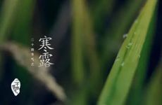 梦见腋窝是什么意思？