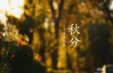 马桶上水停不下来什么问题 马桶一直流水怎么处理