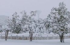 今日大雪有什么风俗？大雪的养生饮食