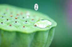 2024年过了白露节气穿秋裤吗