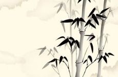 玄关地毯摆放风水 有何禁忌