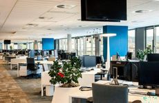 化妆品公司名称大全简单大气