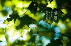 处暑节气的传统习俗及养生方法