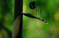 梦见花瓶怎么回事 梦见花瓶有什么预兆