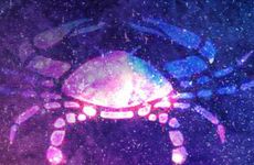 哪些花能给巨蟹座带来幸运