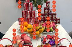 三角梅可以种院子哪里？院子里种三角梅要注意什么？